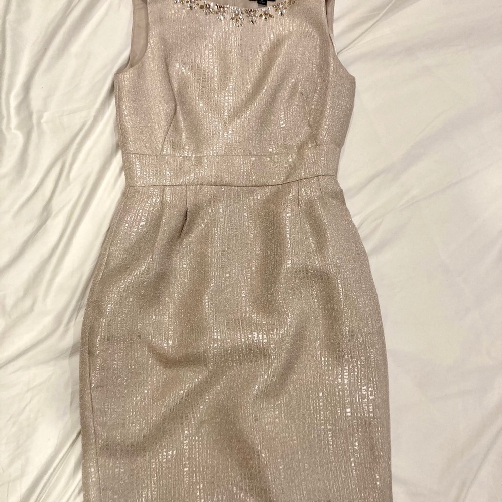 Tahari Women’s Dress Beige fitted 4-6